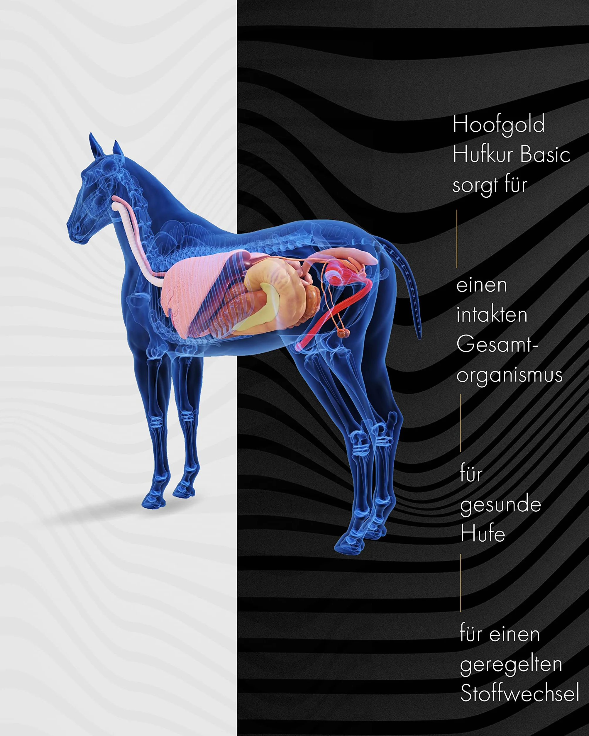 Complemento alimenticio para caballos - Refuerza el sistema inmunitario de los caballos - Antidoping - 4 kg de vitaminas para los pies