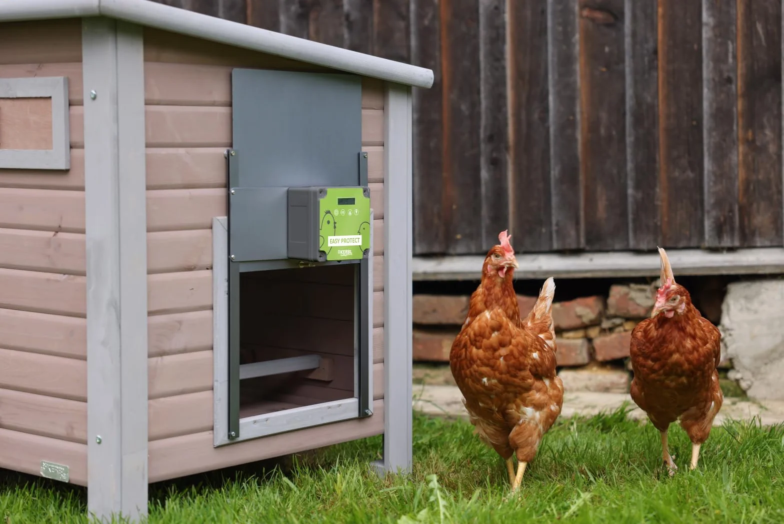 Kerbl EasyProtect 70590 - Juego Completo de Puerta automática para gallinas (con Sensor de luz, 32,5 x 58 cm, Funciona con Pilas o Red)