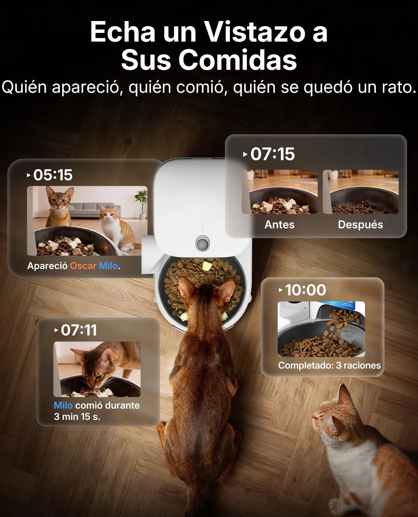 PETKIT Nuevo Comedero Gato Automatico con Cámara, Reconocimiento de Varios Gatos, 2.4G & 5GHz WiFi, 3L Dispensador Comida Gatos/Perros, 1080P HD, Función AI, App Control, Cuenco de Acero Inoxidable