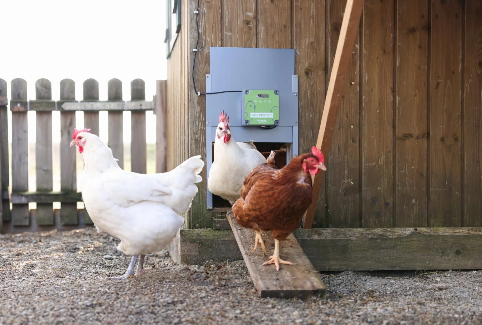Kerbl EasyProtect 70590 - Juego Completo de Puerta automática para gallinas (con Sensor de luz, 32,5 x 58 cm, Funciona con Pilas o Red)