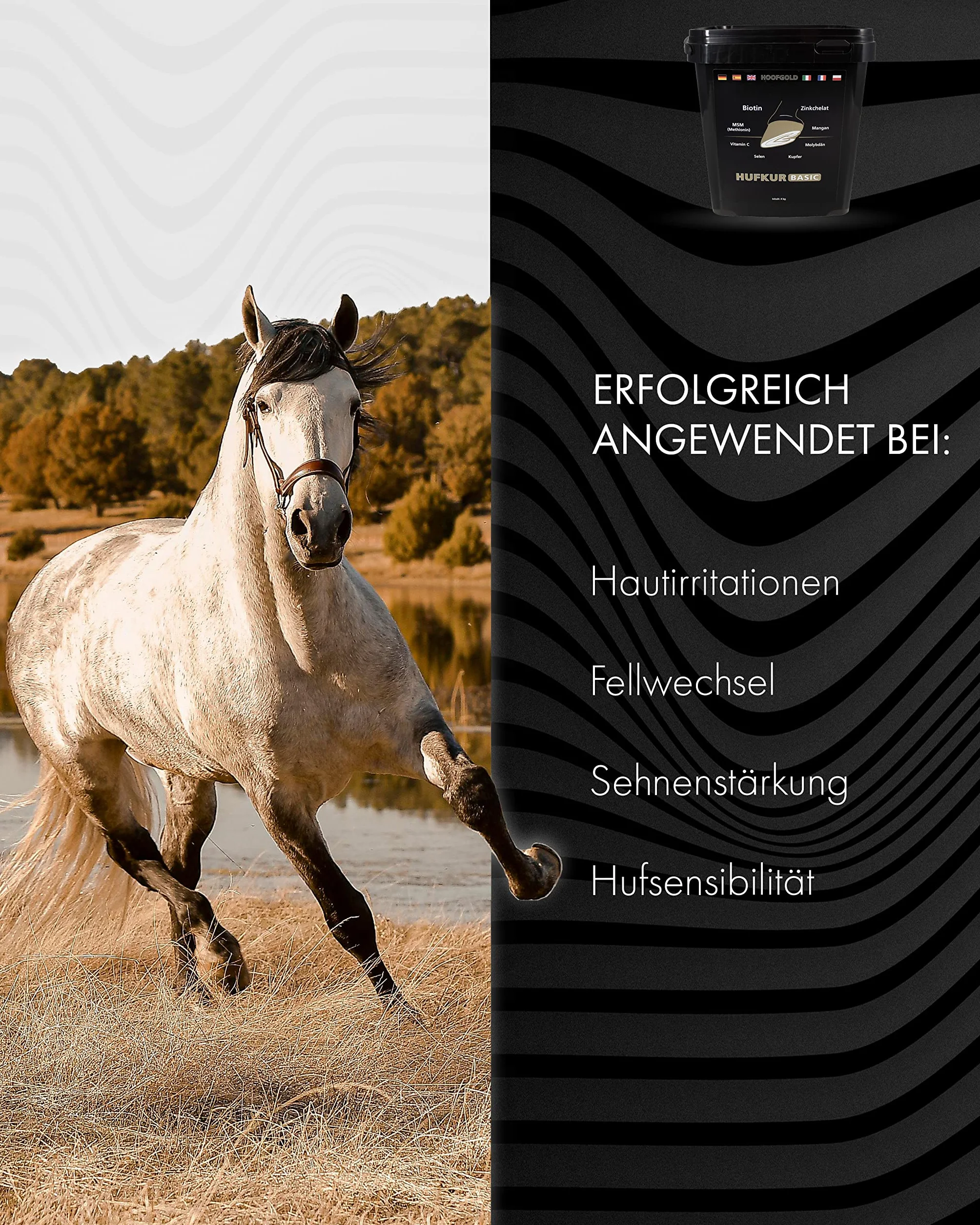 Complemento alimenticio para caballos - Refuerza el sistema inmunitario de los caballos - Antidoping - 4 kg de vitaminas para los pies