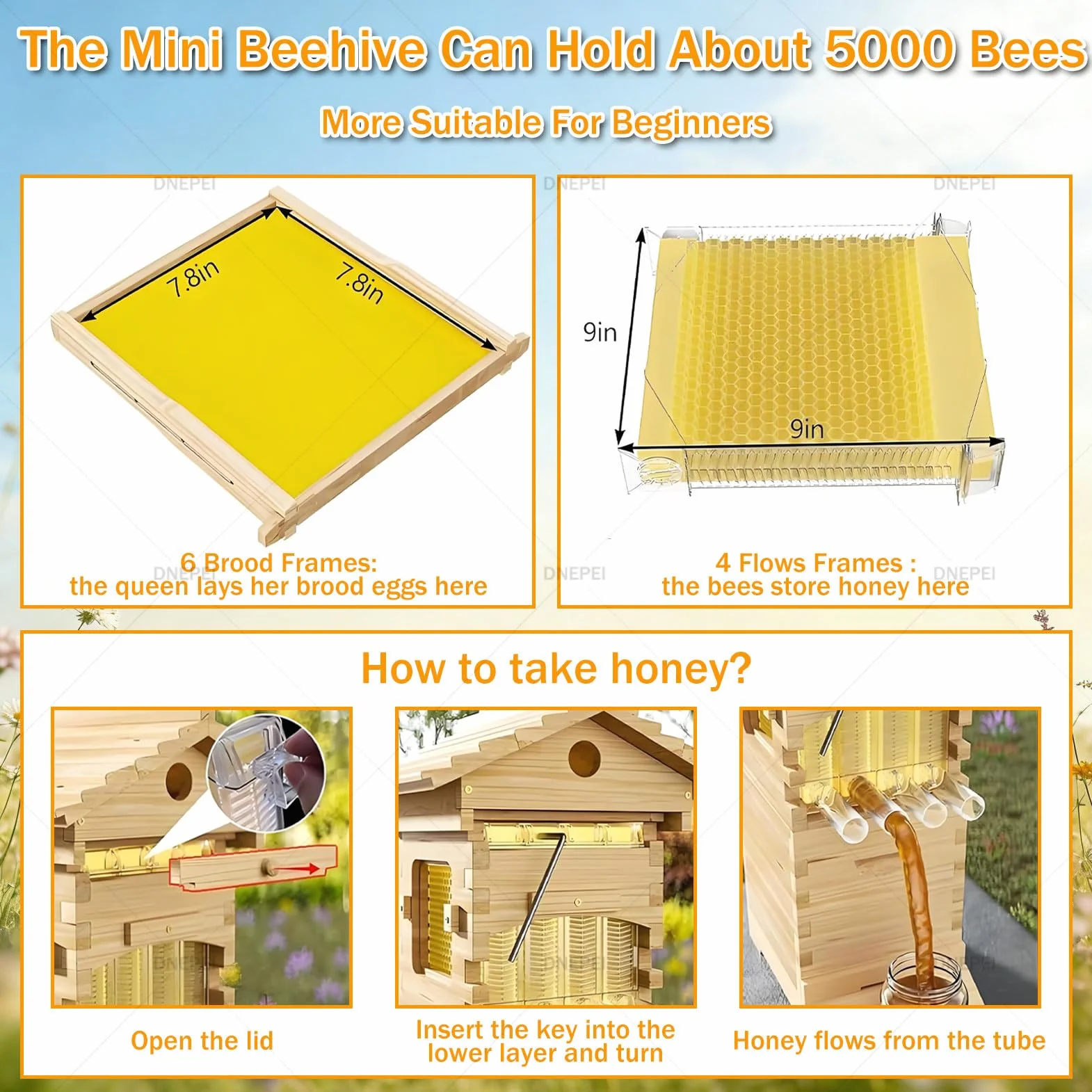 Kit completo de colmena de abejas con ventana de observación y grifo de miel, incluye casa de abejas carpinteras para jardines favorables para los polinizadores