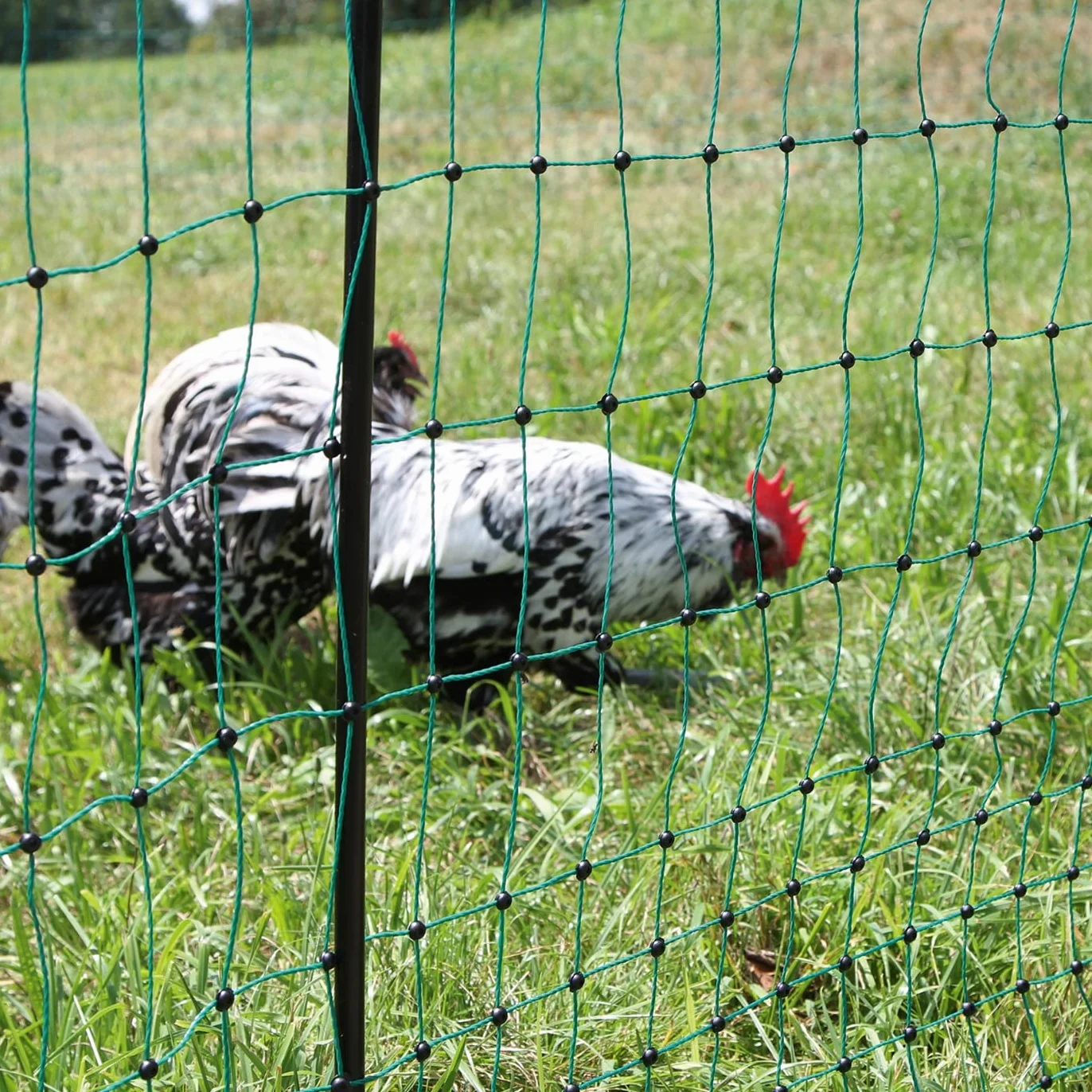 VOSS.farming Malla eléctrica para gallinas farmNET 50m 112cm 16 Postes Kit reparación