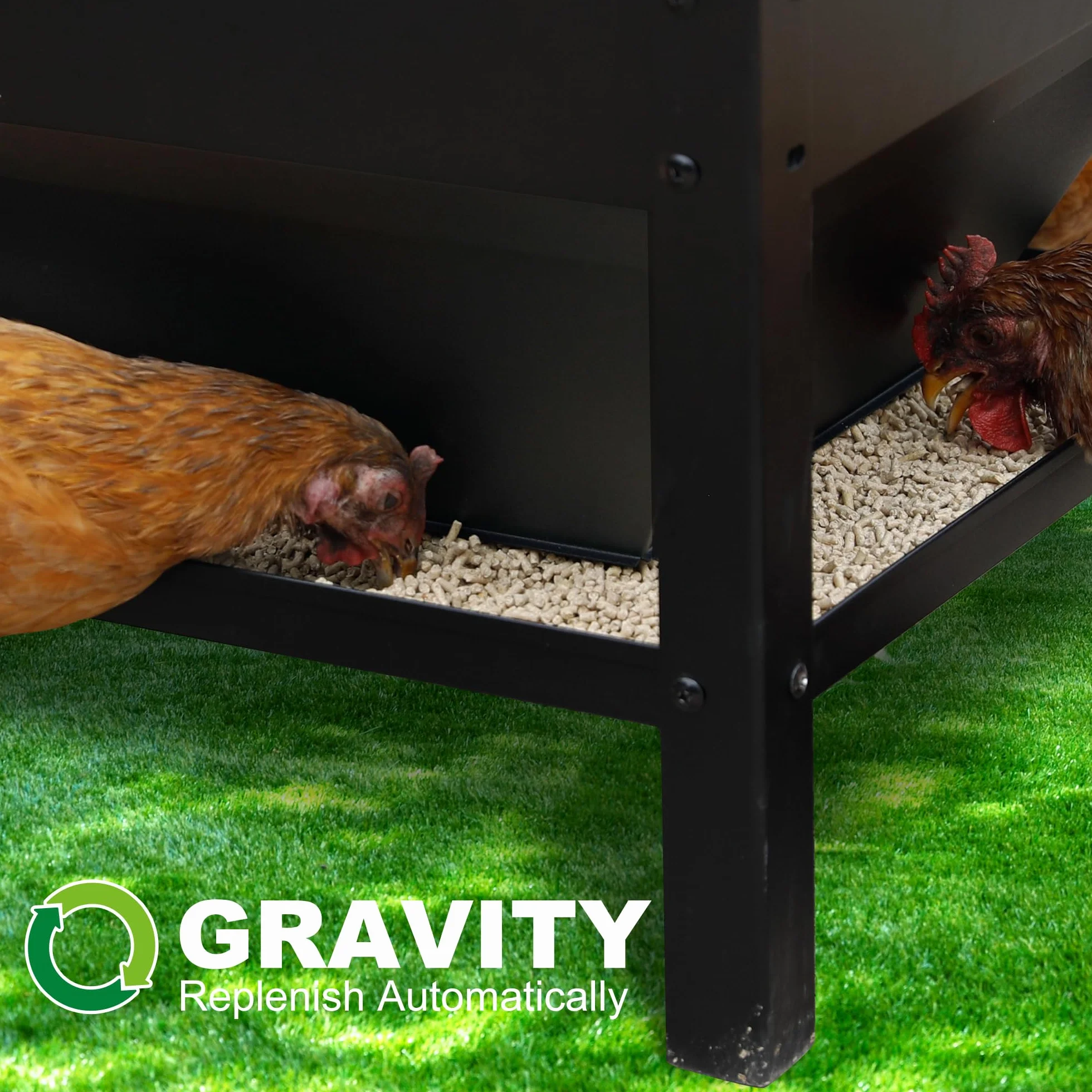 Comedero para Pollos Alimentador automático de Pollo de 35 kg, Metal Dispensador De Pienso, sin Desperdicio, Patos, Aves de Corral, comedero de Pollo al Aire Libre