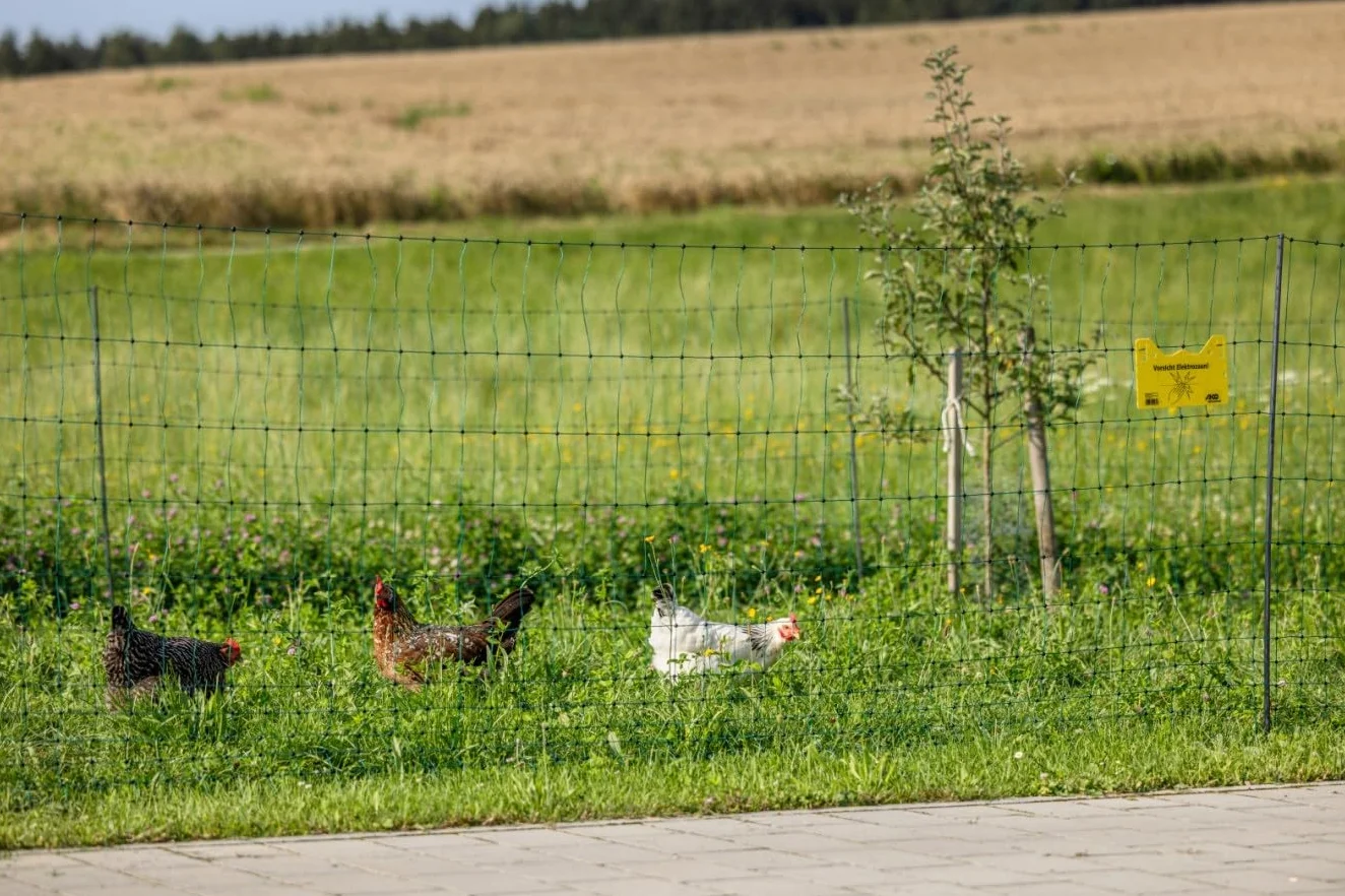 AKO Fencing Red para Aves de Corral (electrificable, 50 m x 122 cm, Color Verde, con Doble Punta, 15 estacas, Red para Animales)