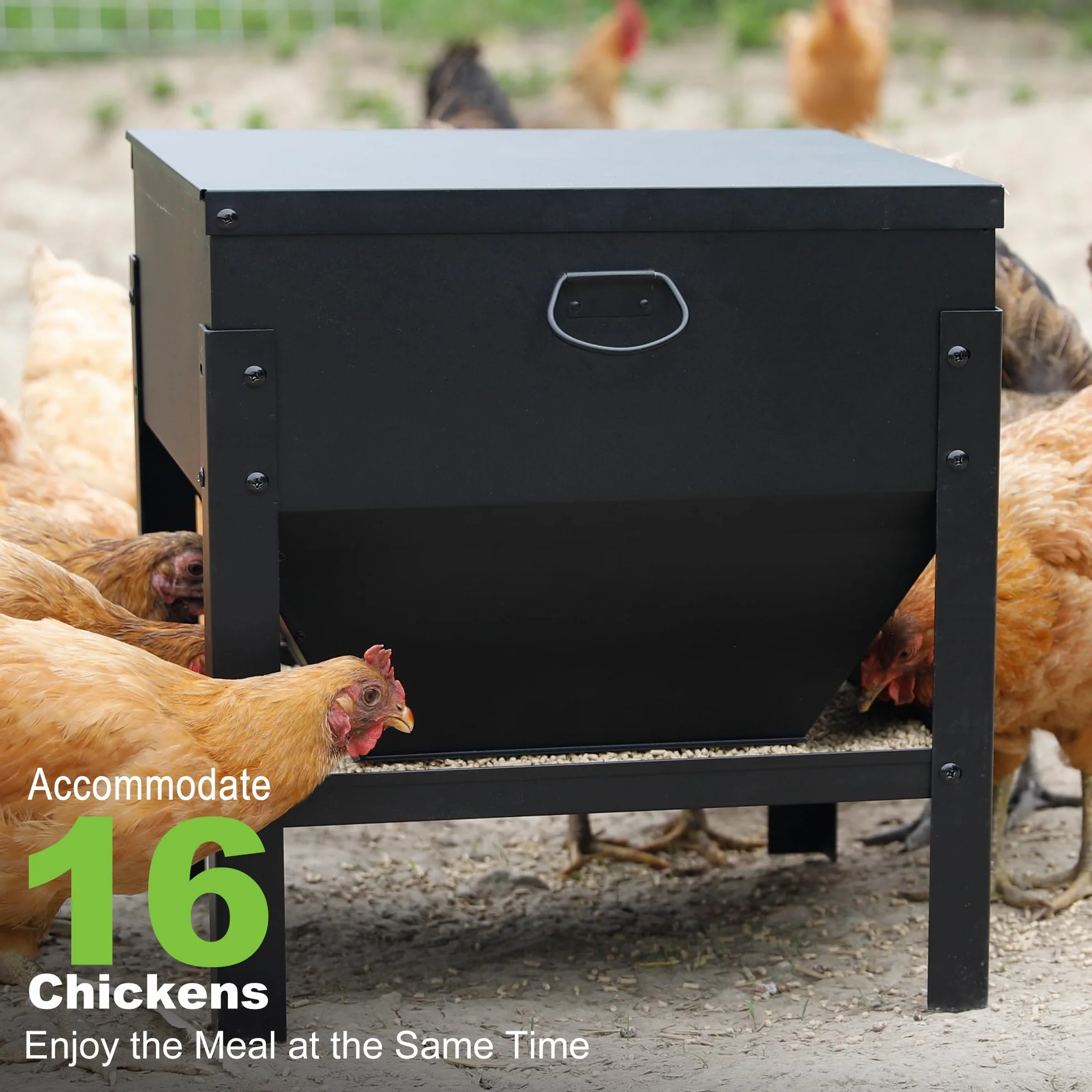 Comedero para Pollos Alimentador automático de Pollo de 35 kg, Metal Dispensador De Pienso, sin Desperdicio, Patos, Aves de Corral, comedero de Pollo al Aire Libre