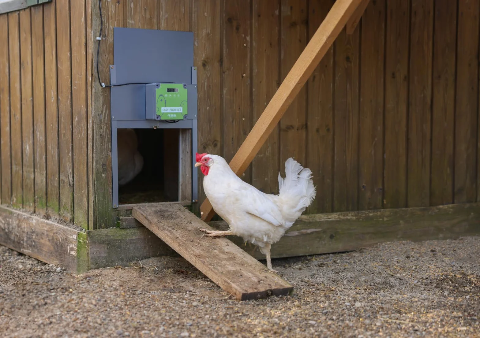 Kerbl EasyProtect 70590 - Juego Completo de Puerta automática para gallinas (con Sensor de luz, 32,5 x 58 cm, Funciona con Pilas o Red)
