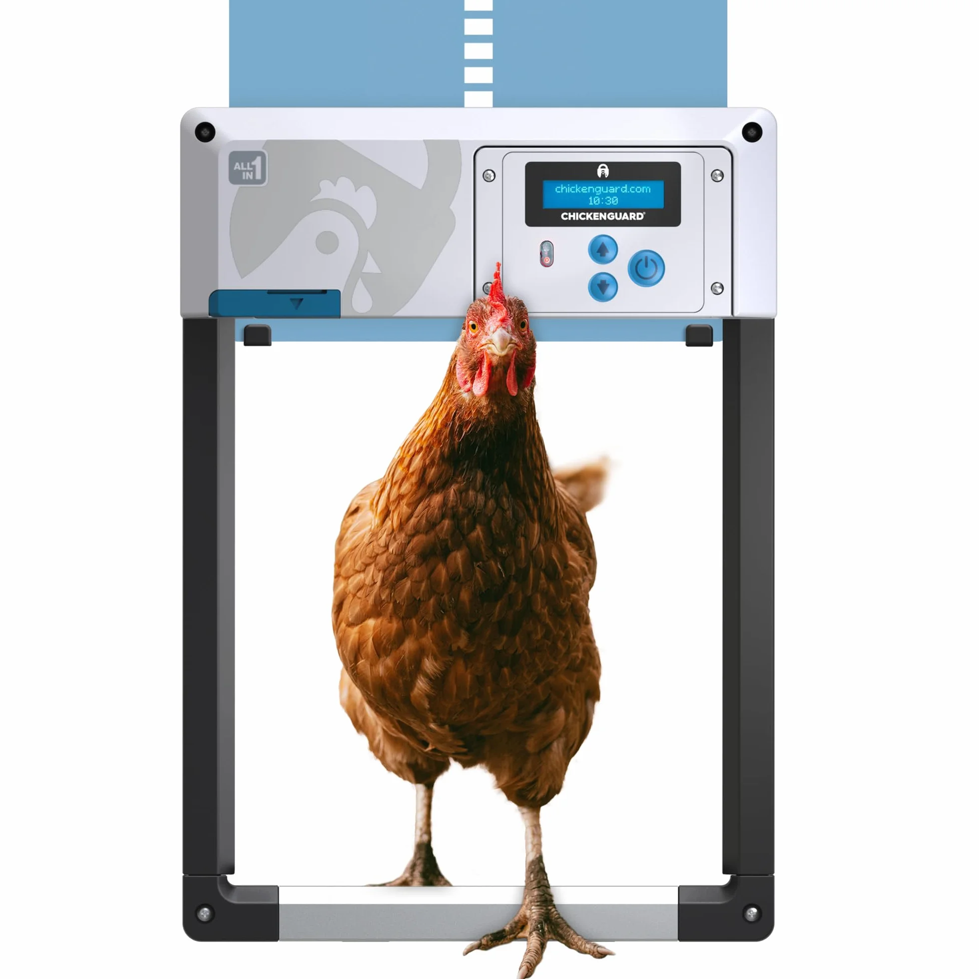 Apertura automática de la Puerta del gallinero, ChickenGuard One en Todos los 4 Colores, Temporizador/Sensor de luz, 3 Opciones de energía: Solar, batería o eléctrica. (Azul + Baterías)